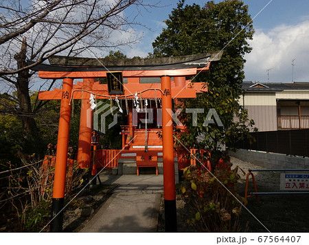 矢劔社の朱の鳥居・神泉苑 矢劔社の朱の鳥居・神泉苑 67564407