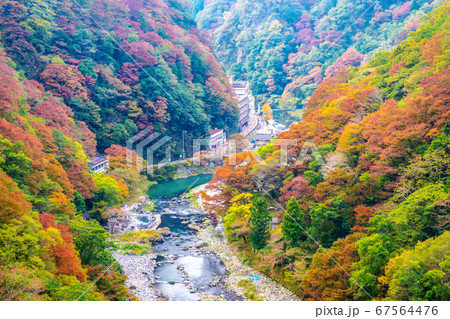 紅葉の湯原温泉 67564476
