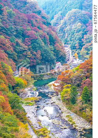 紅葉の湯原温泉 67564477