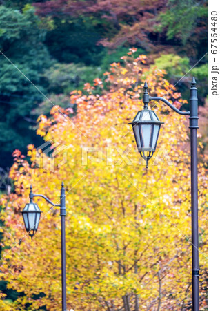 紅葉の湯原温泉 67564480