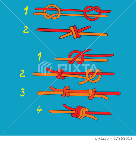 Fisherman`s knot illustration; 67565018