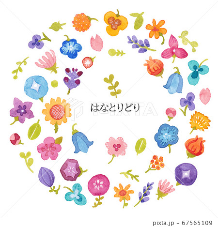 花とりどり	 67565109