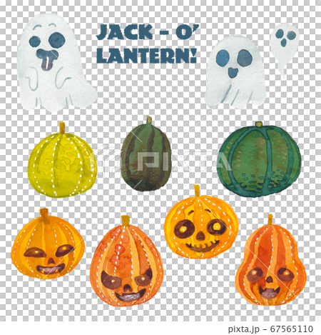 ジャックオランタン 67565110