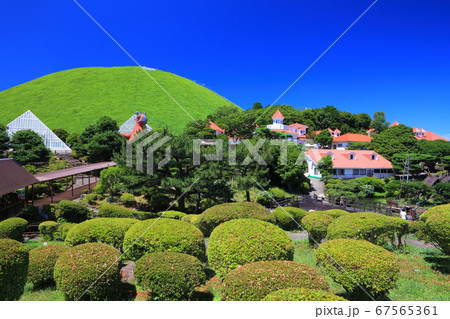 【静岡県】万緑の伊豆シャボテン動物公園 67565361