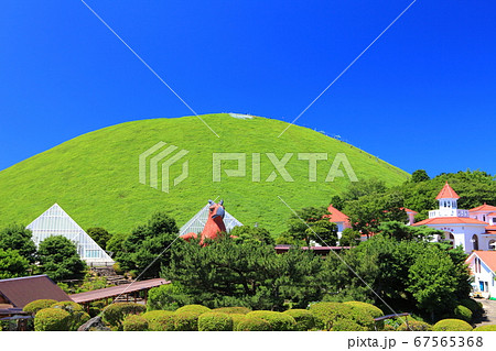 【静岡県】万緑の伊豆シャボテン動物公園 67565368