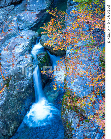 みたらい渓谷の滝と紅葉 みたらい渓谷の滝と紅葉 67566163