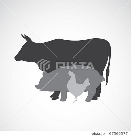 Vector group of animal farm label. Animals. 67566577