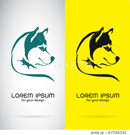 Vector of a dog siberian husky design. Animals. Vector of a dog siberian husky design. Animals. 67566592