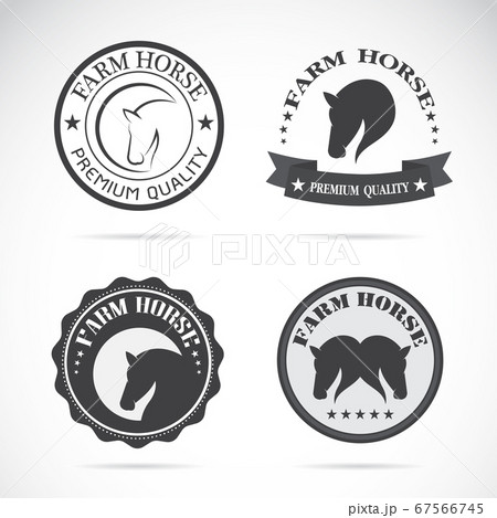 Set of vector horses labels on white background,のイラスト素材 [67566745] - PIXTA