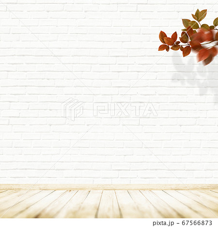 白い煉瓦造りの壁と紅葉の背景 67566873