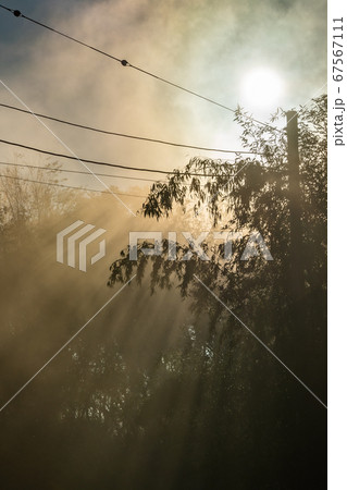 鹿野山九十九谷展望公園 朝景 鹿野山九十九谷展望公園 朝景 67567111