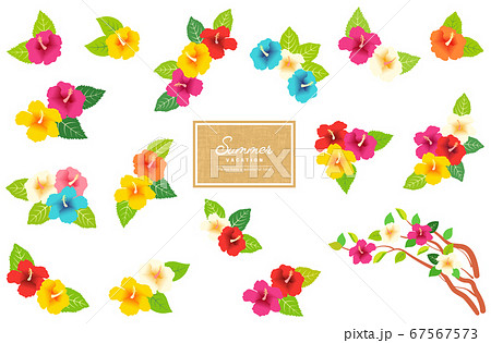 カラフルなハイビスカスのパーツセット 67567573