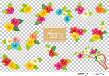 カラフルなハイビスカスのパーツセット 67567573