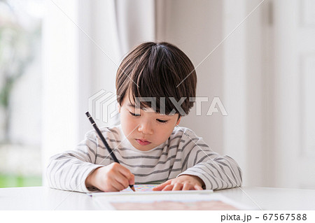 勉強、男の子 67567588
