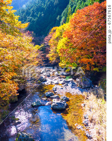 みたらい渓谷の紅葉の写真素材