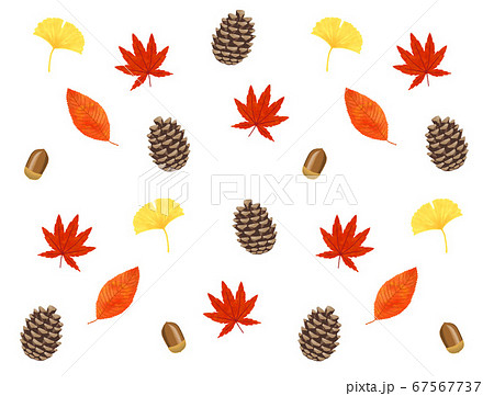 秋の実りの模様 イチョウ 紅葉 落ち葉 どんぐり 松ぼっくり のイラスト素材