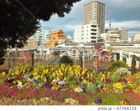 東京谷中墓地の花畑から日暮里駅付近を快走する京成電鉄スカイライナーの観える風景 67568158