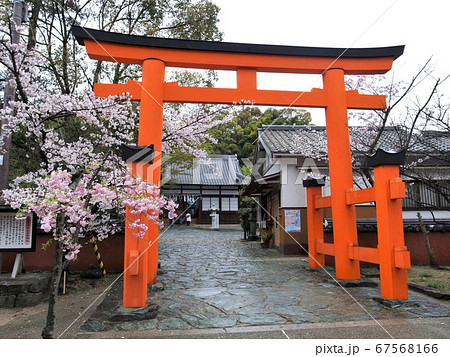玉津島神社　和歌山　春 67568166