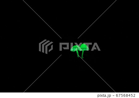 森の妖精9614 森の妖精9614 67568452