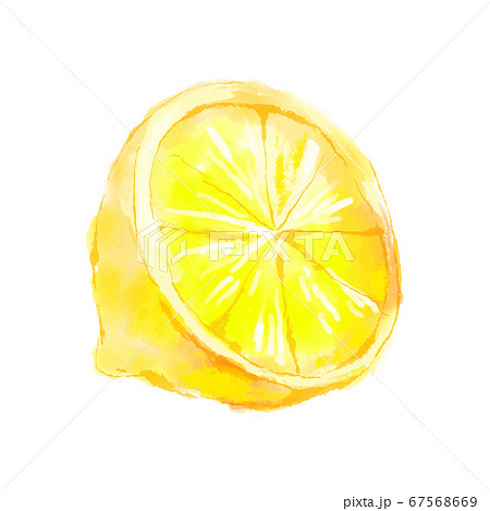 レモン断面 水彩 手描きのイラスト素材