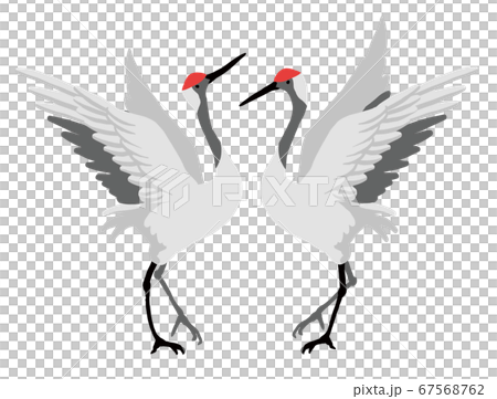 丹頂鶴のペアのベクターイラスト 丹頂鶴のペアのベクターイラスト 67568762