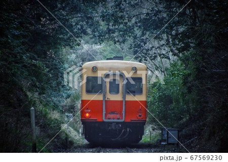 森の中の小湊鉄道 67569230