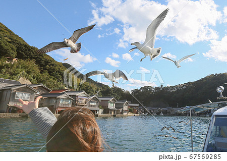 京都府　秋　伊根町　伊根の舟屋　会場タクシー 67569285