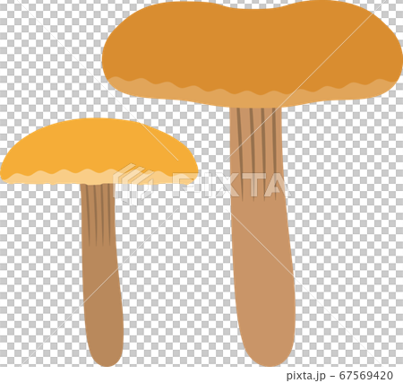 えのき茸のイラストのイラスト素材