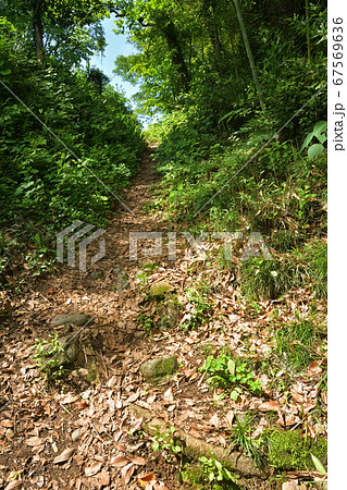 秩父散歩:二十三番札所音楽寺(おんがくじ)臨済宗南禅寺派 秩父散歩:二十三番札所音楽寺(おんがくじ)臨済宗南禅寺派 67569636