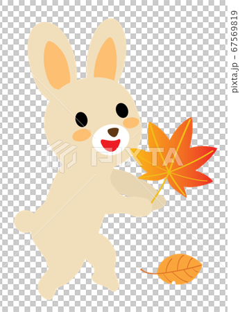Cute rabbit with autumn maple 67569819