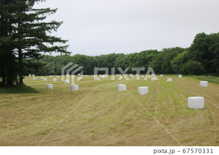 北海道牧場干し草ロールの写真素材