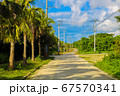 一直線に続く夏の竹富島の道 67570341