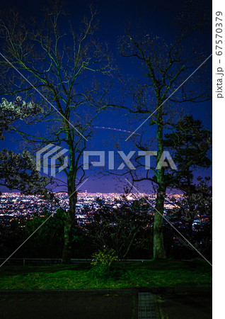 夜桜と夕暮れの公園の風景、宝塚中山桜台公園 67570379