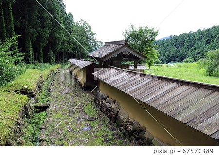 雨上がりの平泉寺白山神社 白山平泉寺旧境内（福井県 勝山市） 67570389