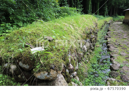 雨上がりの平泉寺白山神社 白山平泉寺旧境内(福井県 勝山市) 雨上がりの平泉寺白山神社 白山平泉寺旧境内(福井県 勝山市) 67570390