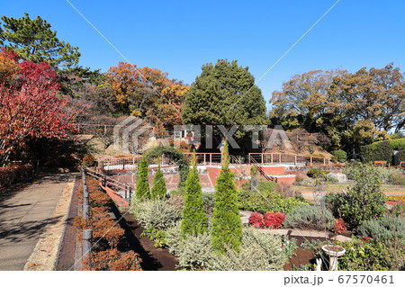 多摩川台公園　秋　紅葉　四季の野草園　東京都大田区 67570461