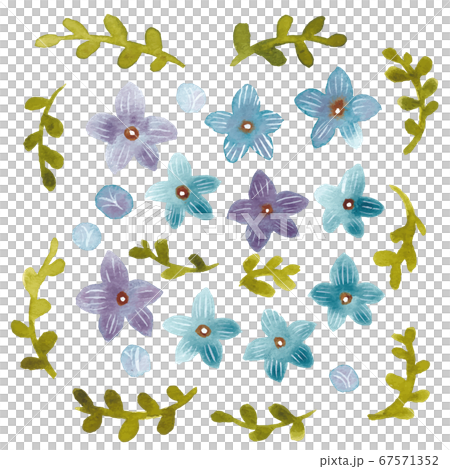 水彩畫：藍色花 67571352