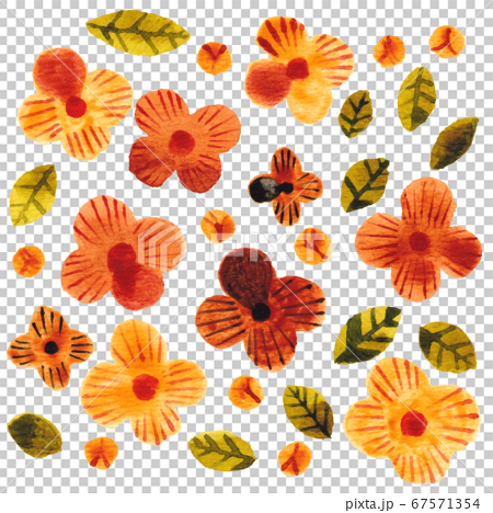 水彩 オレンジの花のイラスト素材
