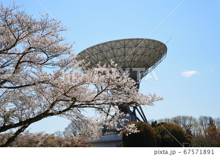 さくら宇宙公園へ行きました #27 さくら宇宙公園へ行きました #27 67571891