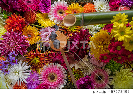 手水鉢　秋　毘沙門堂勝林寺 67572495