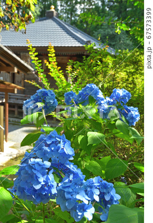 秩父散歩:二十四番札所 法泉寺(ほうせんじ)臨済宗南禅寺派 秩父散歩:二十四番札所 法泉寺(ほうせんじ)臨済宗南禅寺派 67573399