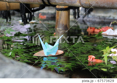 水辺の鶴 67573629