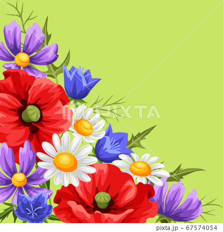 Background with summer flowers. Background with summer flowers. 67574054