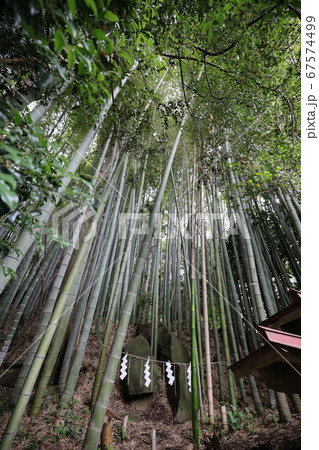奈良県　橿原市　天岩戸神社⑥ 67574499
