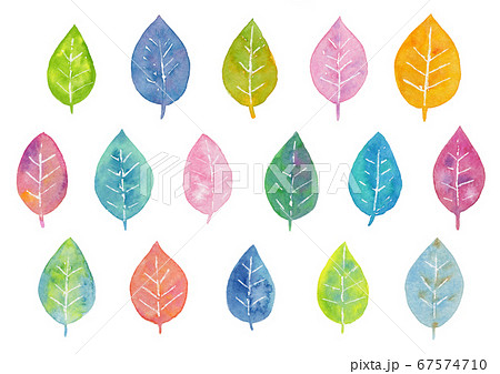 カラフルな色の葉っぱのセット 水彩イラストのイラスト素材