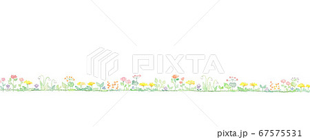 色とりどりの野花、グリーンのライン 色とりどりの野花、グリーンのライン 67575531