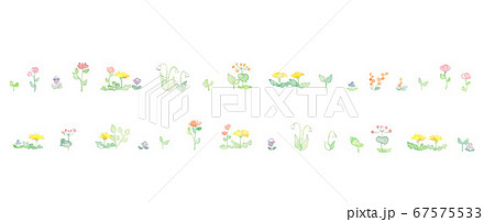 色とりどりの野花、素材 色とりどりの野花、素材 67575533