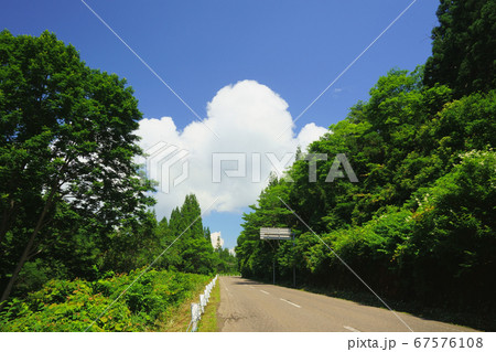両脇に木々の緑がまぶしい田舎の道の先にある夏空 67576108