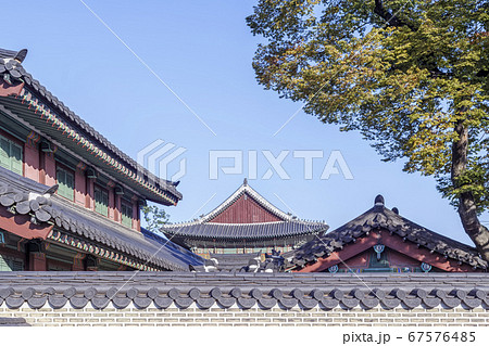 昌徳宮 宮殿 文化財 67576485