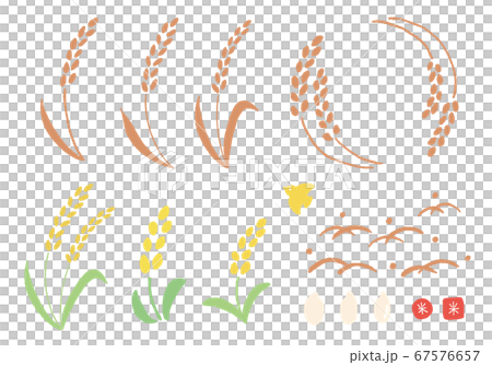稲の手描きイラストセット 67576657